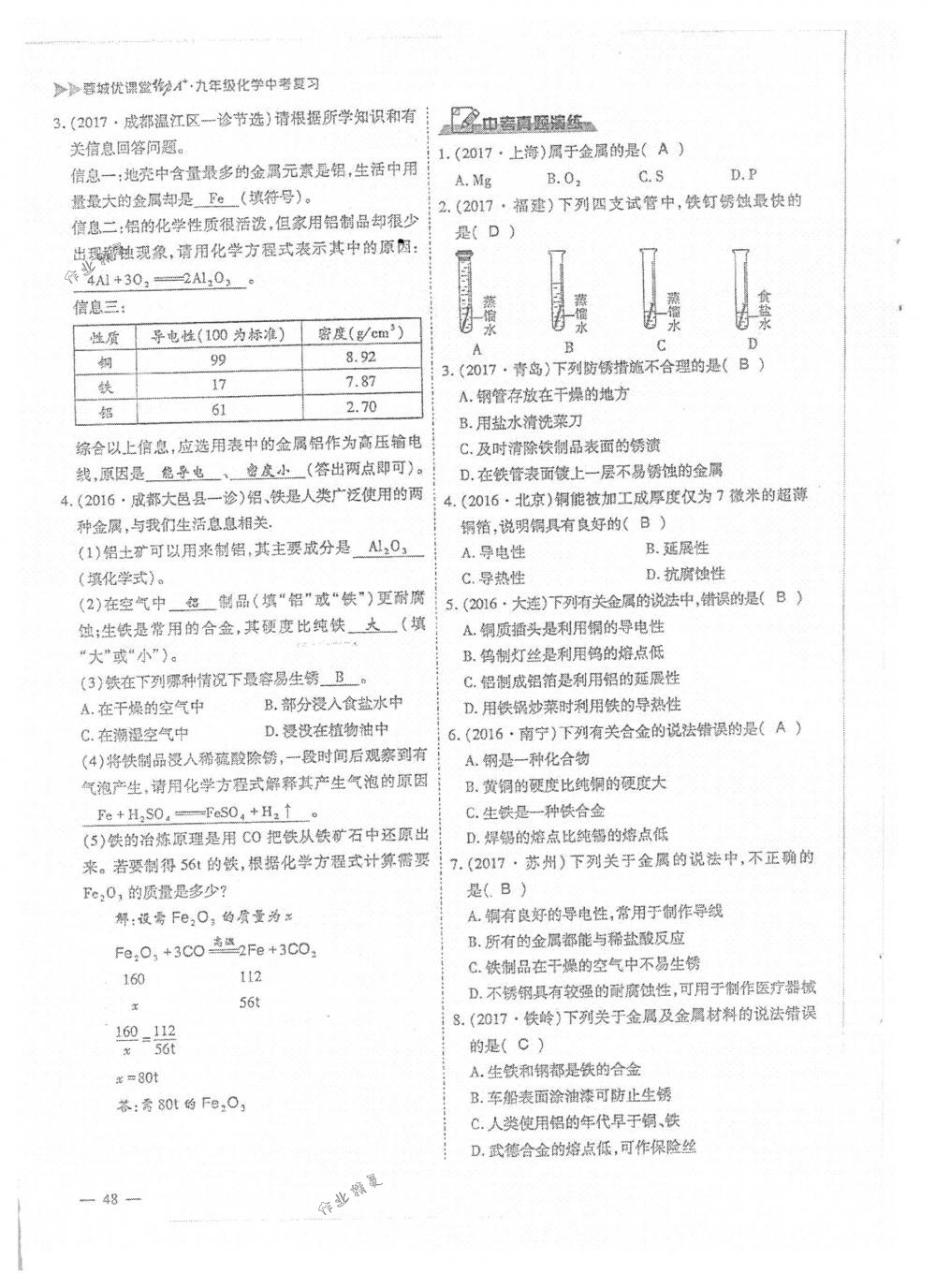 2018年蓉城优课堂给力A+九年级化学下册人教版 第48页