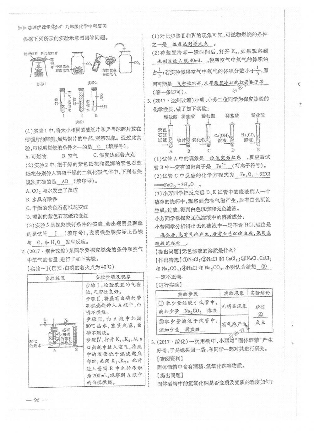2018年蓉城优课堂给力A+九年级化学下册人教版 第96页