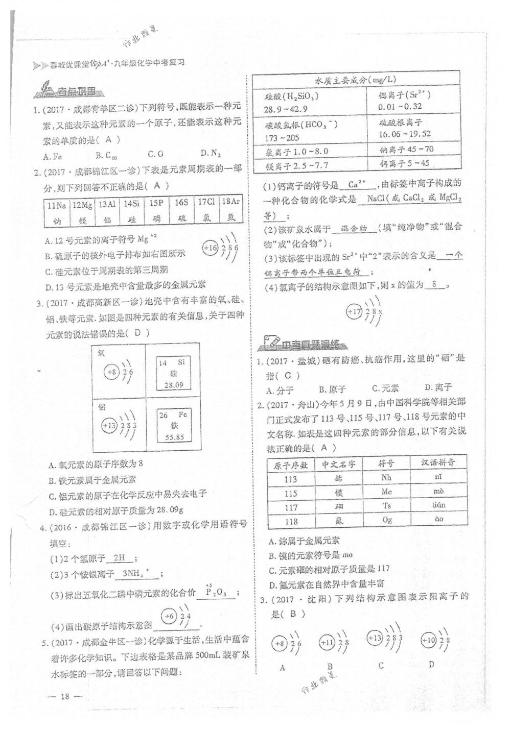 2018年蓉城优课堂给力A+九年级化学下册人教版 第18页