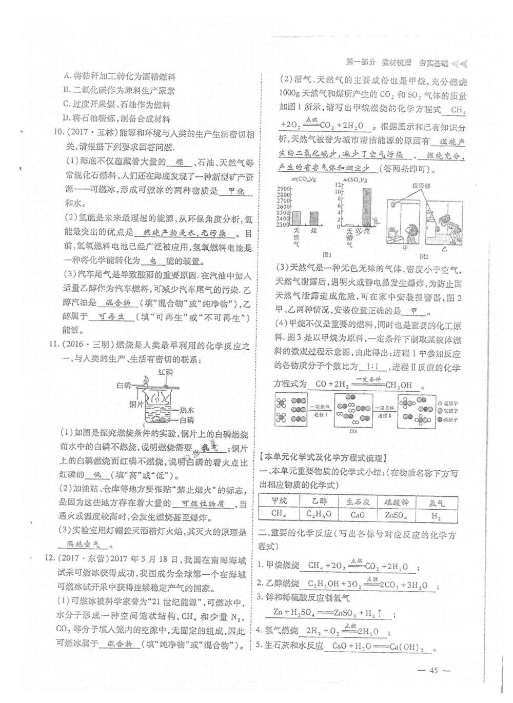 2018年蓉城优课堂给力A+九年级化学下册人教版 第45页