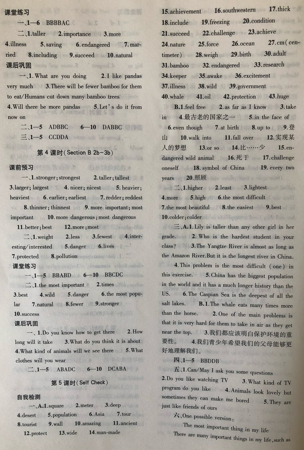 2018年基础训练八年级英语下册人教版大象出版社 第31页