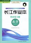 2018年长江作业本同步练习册八年级数学下册人教版