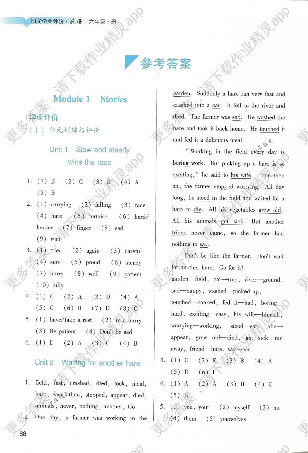 2018年阳光学业评价六年级英语下册教科版答案—精英家教网