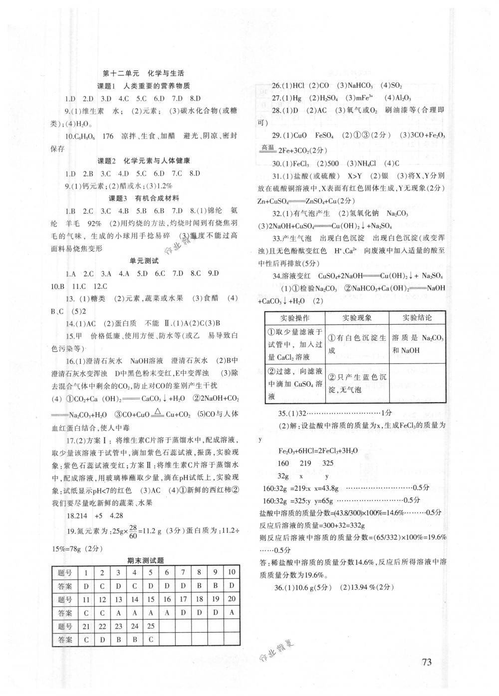 2018年化學(xué)配套綜合練習(xí)九年級下冊人教版 第4頁