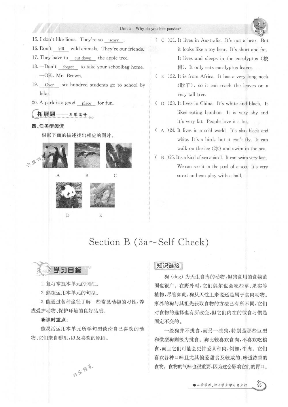 2018年金太陽導學案七年級英語下冊人教版 第95頁