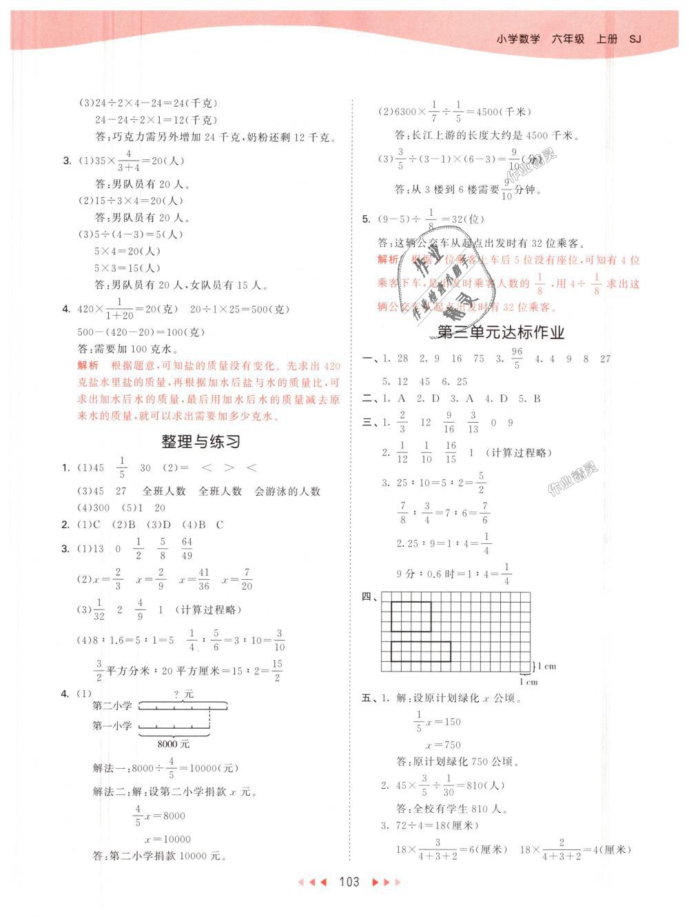 2018年53天天练小学数学六年级上册苏教版 第11页