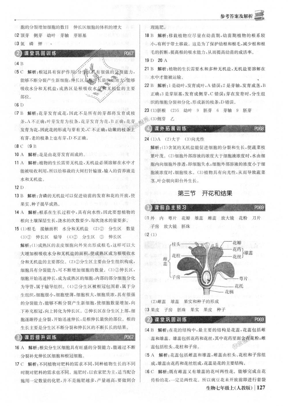 2018年1加1輕巧奪冠優(yōu)化訓(xùn)練七年級(jí)生物上冊(cè)人教版銀版 第24頁(yè)