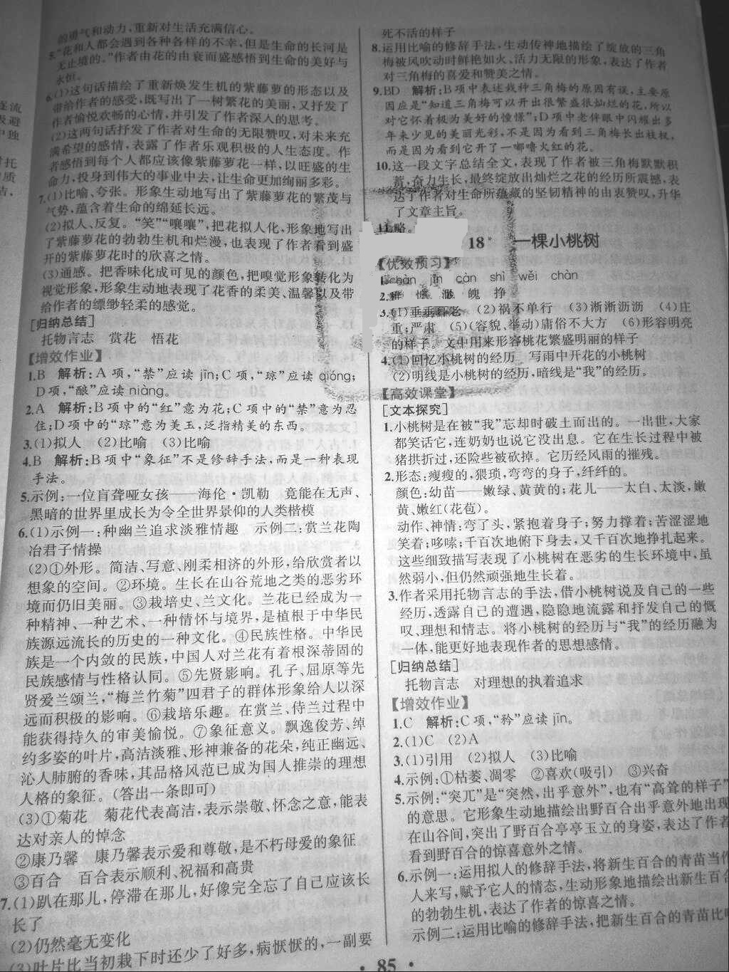 2018年人教金學(xué)典同步解析與測評七年級語文下冊人教版重慶專 版 第11頁