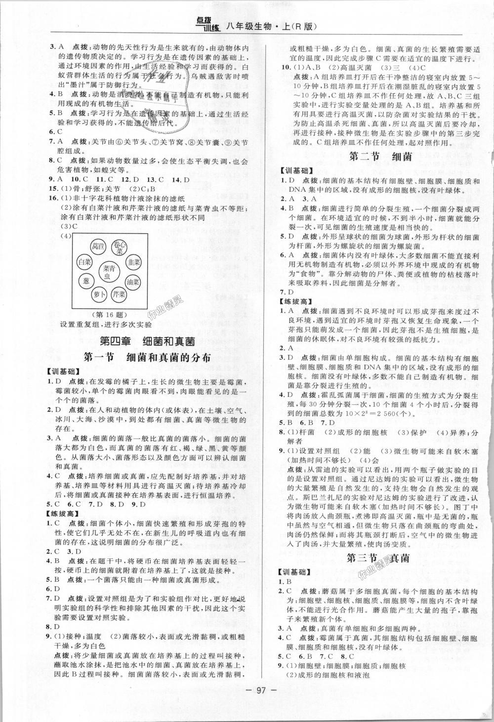 2018年點(diǎn)撥訓(xùn)練八年級(jí)生物上冊(cè)人教版 第4頁(yè)