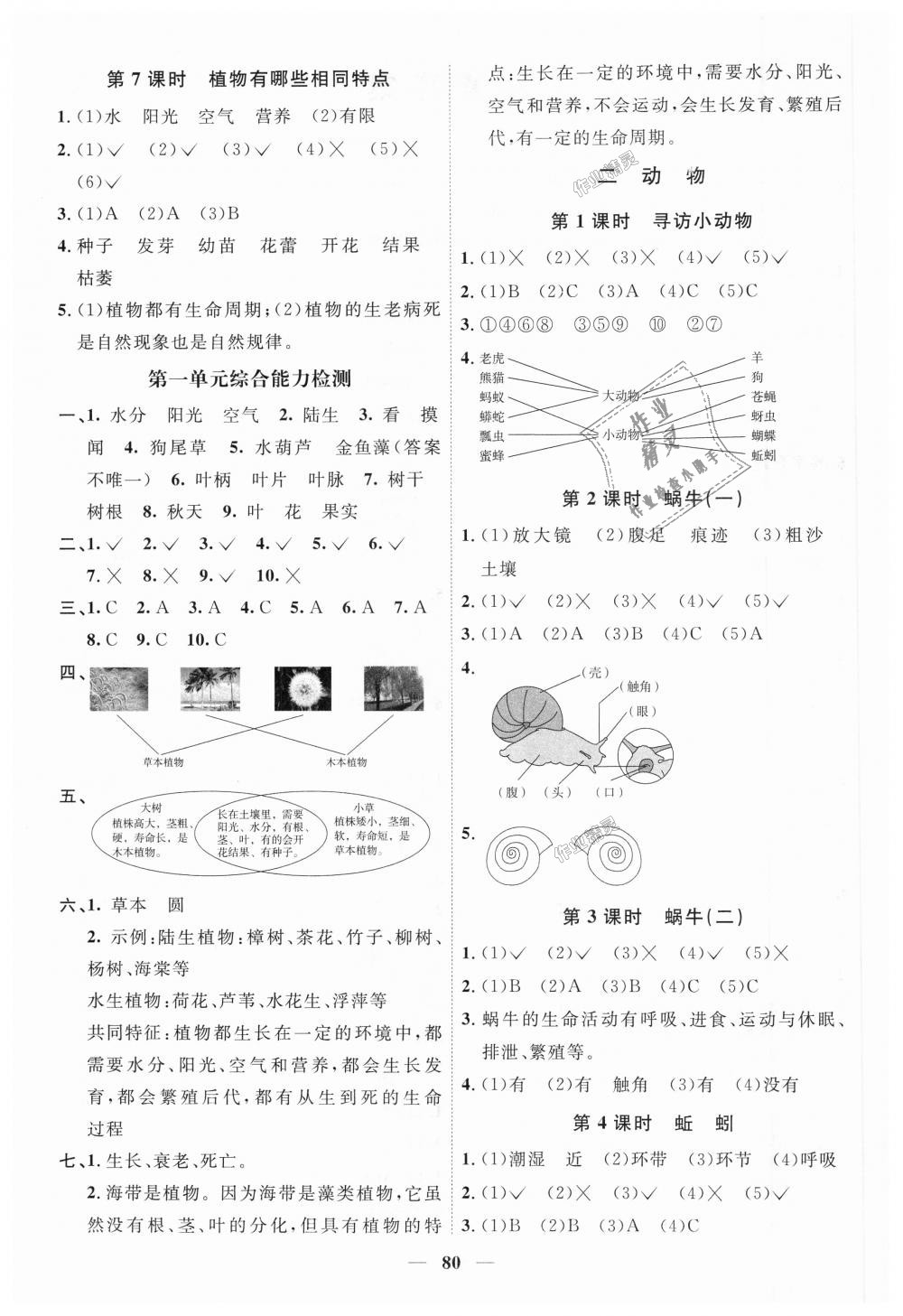 2018年陽光同學(xué)課時(shí)優(yōu)化作業(yè)三年級科學(xué)上冊教科版 第2頁