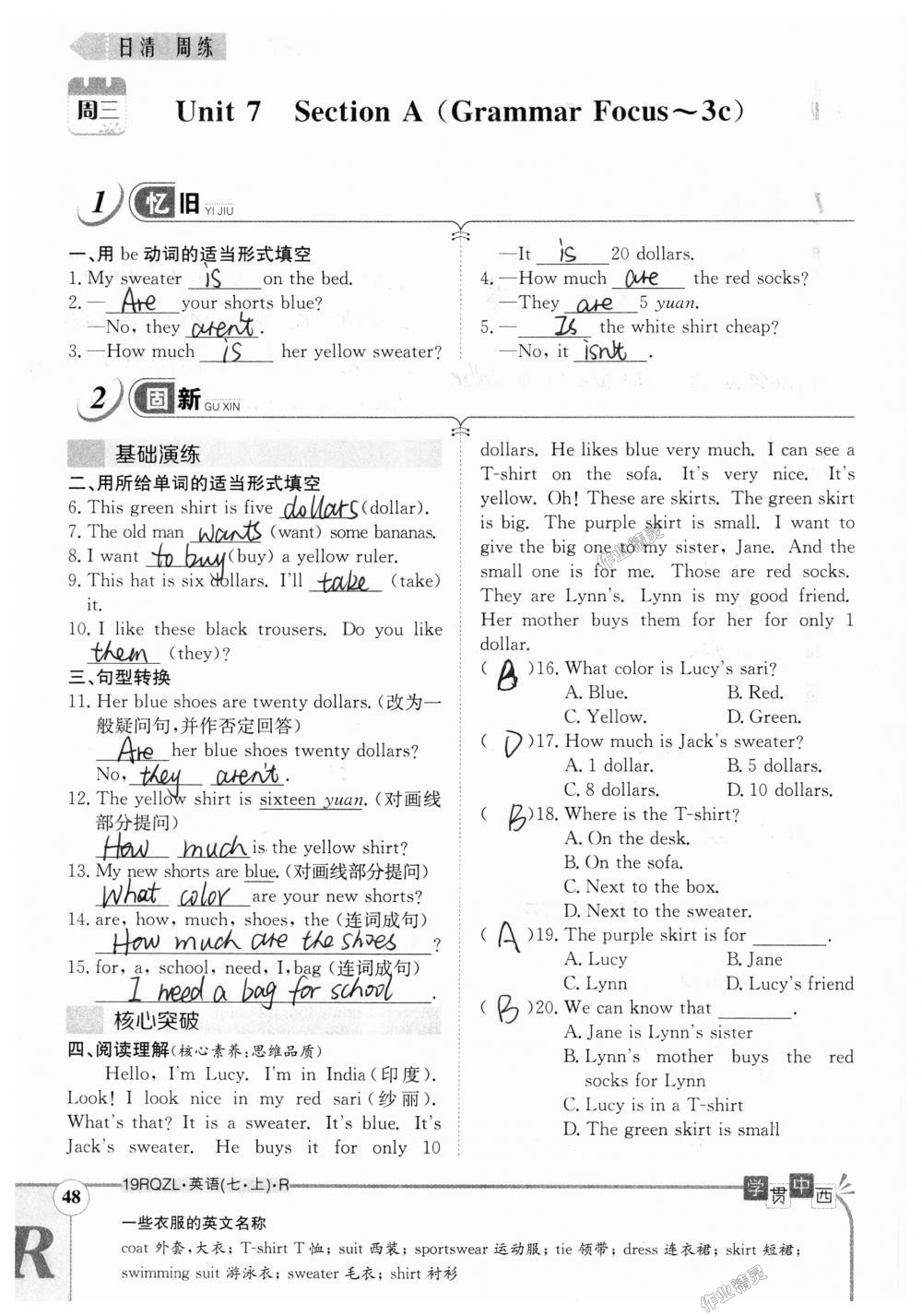 2018年日清周練限時提升卷七年級英語上冊人教版 第48頁