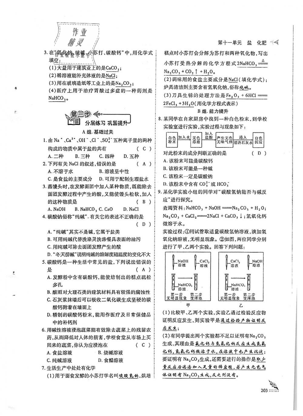 2018年蓉城優(yōu)課堂給力A加九年級化學全一冊人教版 第203頁