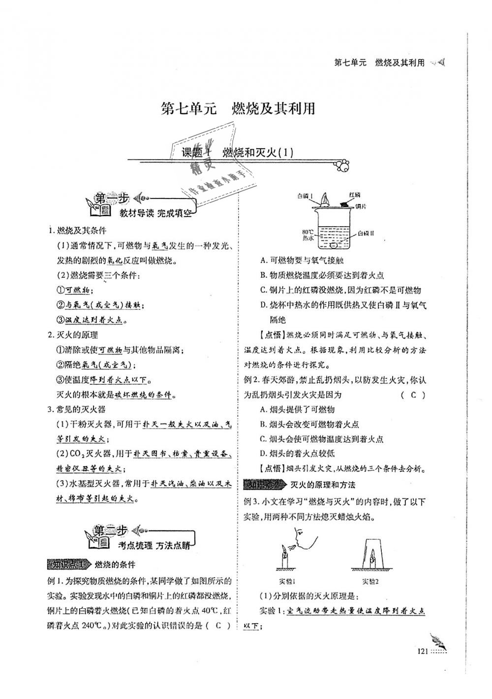 2018年蓉城优课堂给力A加九年级化学全一册人教版 第121页