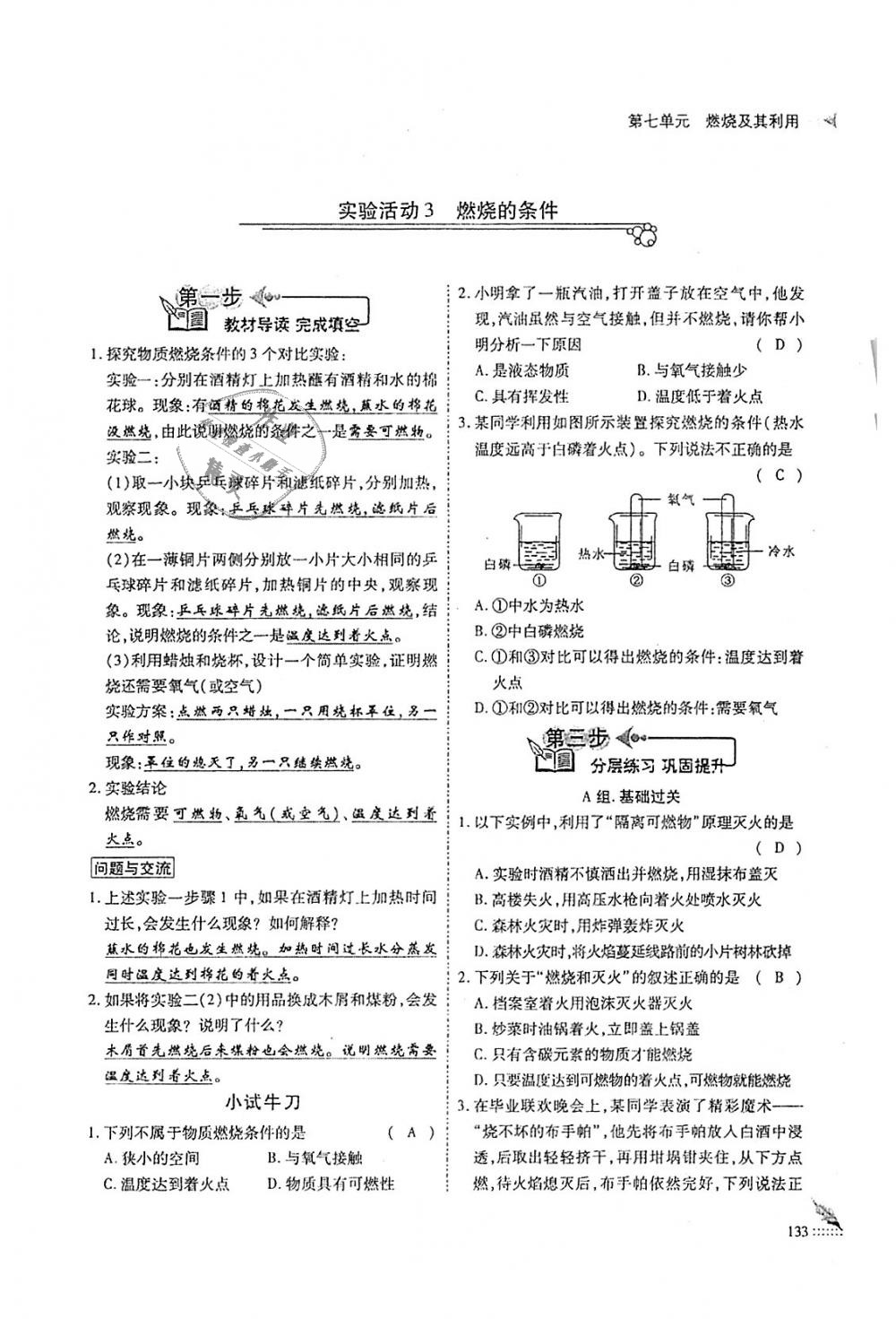 2018年蓉城优课堂给力A加九年级化学全一册人教版 第133页