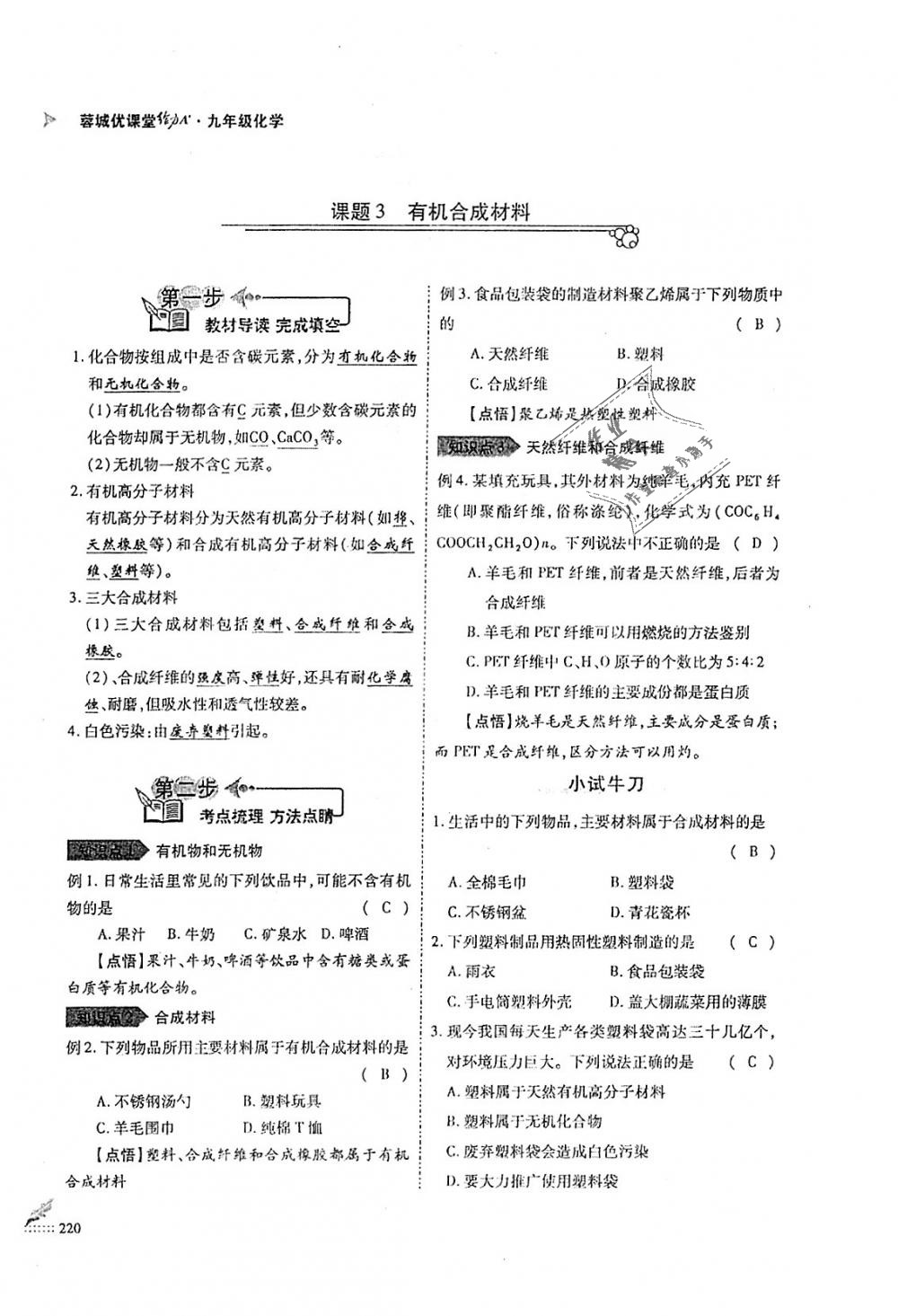 2018年蓉城优课堂给力A加九年级化学全一册人教版 第220页