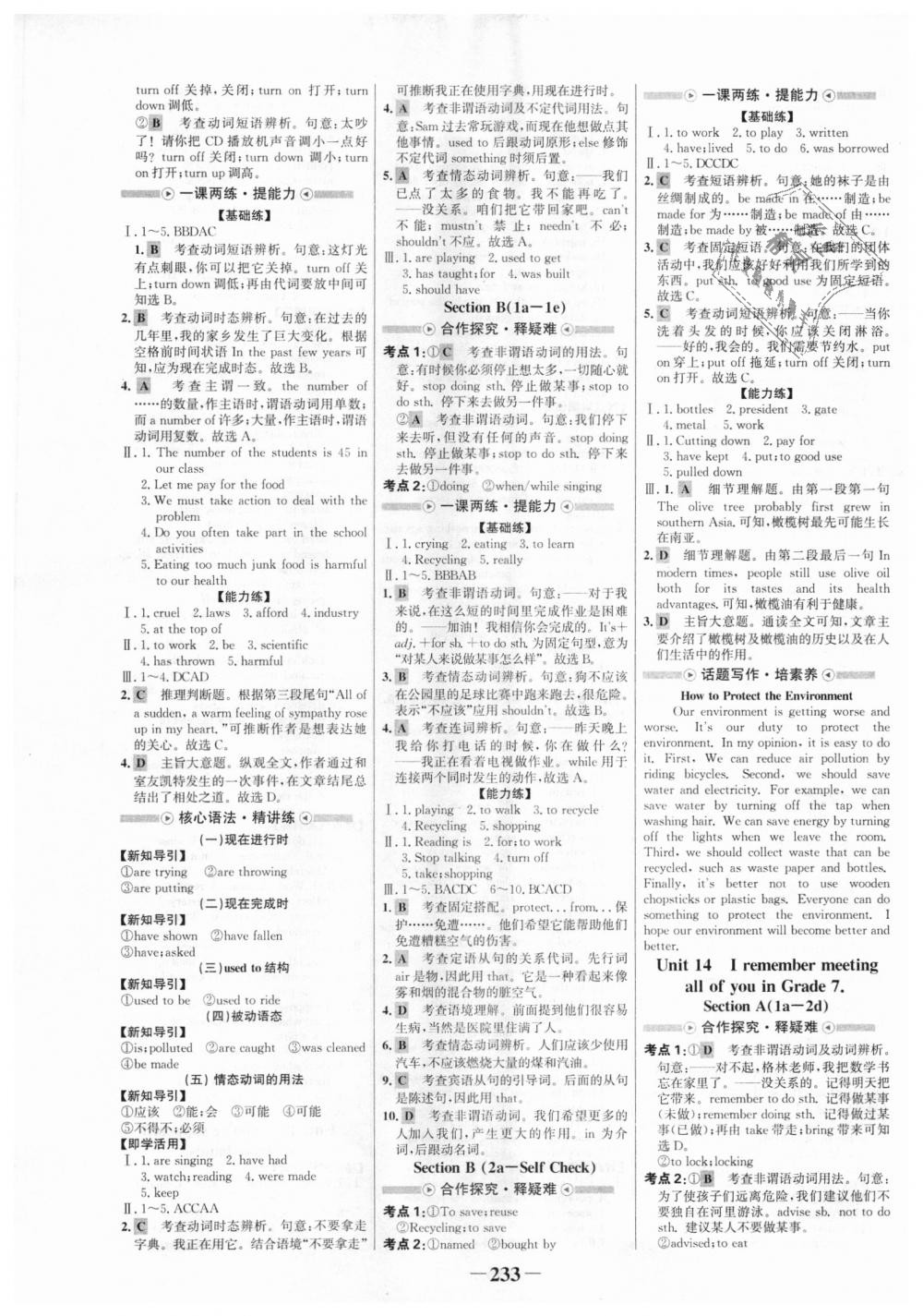 2018年世紀(jì)金榜金榜學(xué)案九年級英語全一冊人教版 第13頁