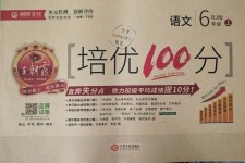 2018年王朝霞培优100分六年级语文上册人教版