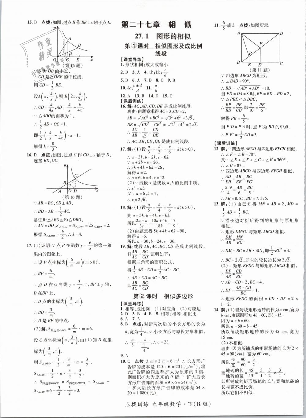 2019年點撥訓練九年級數學下冊人教版 第13頁