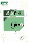2019年长江作业本课堂作业九年级化学下册人教版