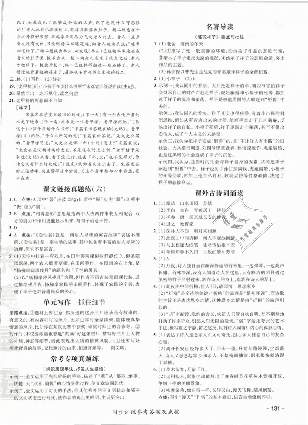 2019年點(diǎn)撥訓(xùn)練七年級(jí)語文下冊(cè)人教版 第14頁