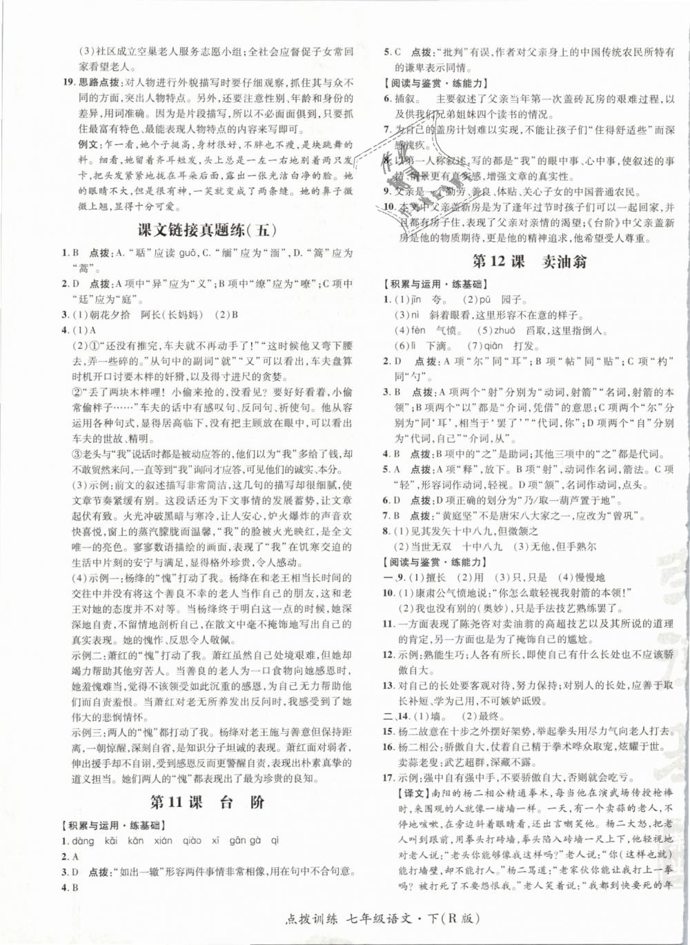 2019年點撥訓練七年級語文下冊人教版 第13頁