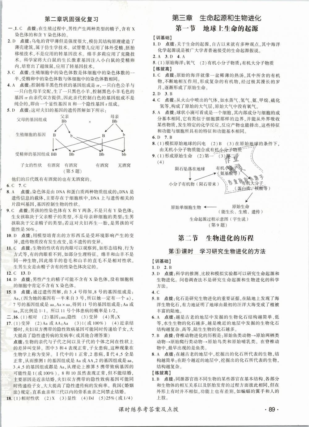 2019年點撥訓(xùn)練八年級生物下冊人教版 第14頁