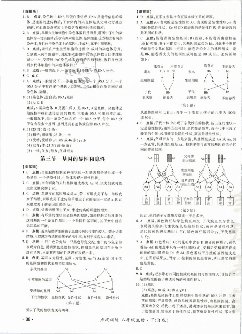 2019年點撥訓練八年級生物下冊人教版 第11頁