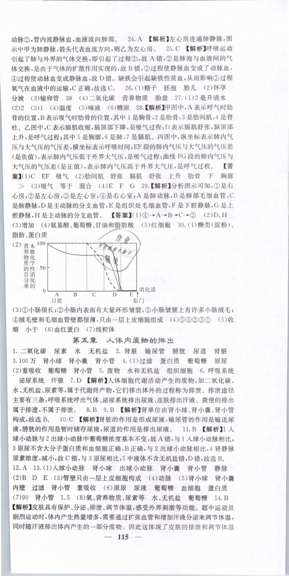 2019年課堂點(diǎn)睛七年級生物下冊人教版 第18頁