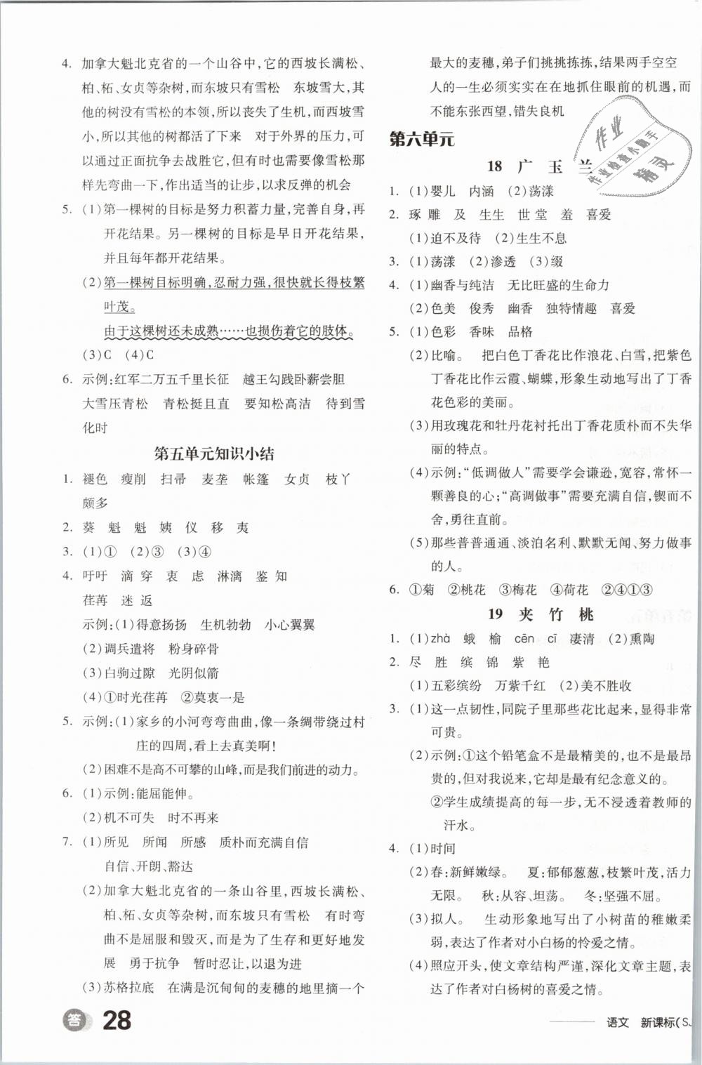 2019年全品學(xué)練考六年級(jí)語文下冊(cè)蘇教版 第7頁