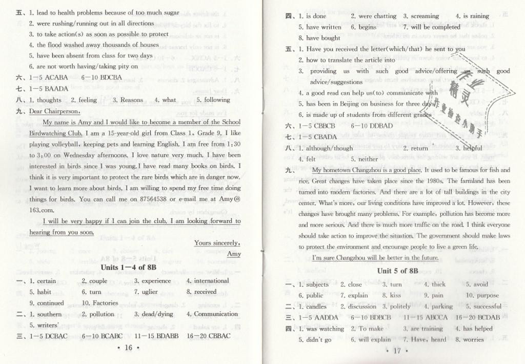 中考英语总复习 Unit 5 of 8B - 第9页