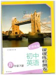 2019年初中英语课课练检测卷九年级下册译林版