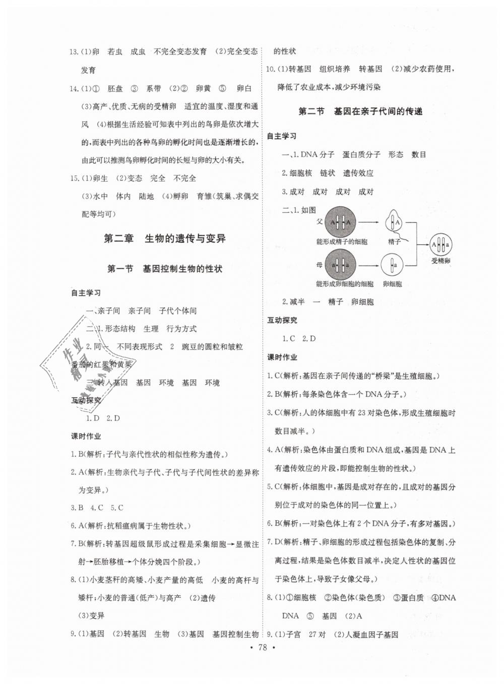 2019年长江全能学案同步练习册八年级生物学下册人教版 第4页