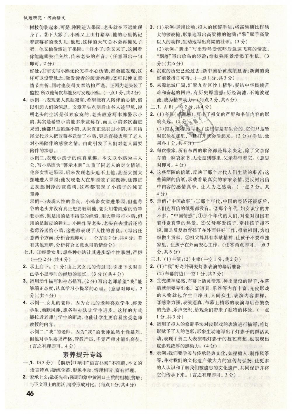 2019年万唯教育中考试题研究九年级语文河南专版 第46页