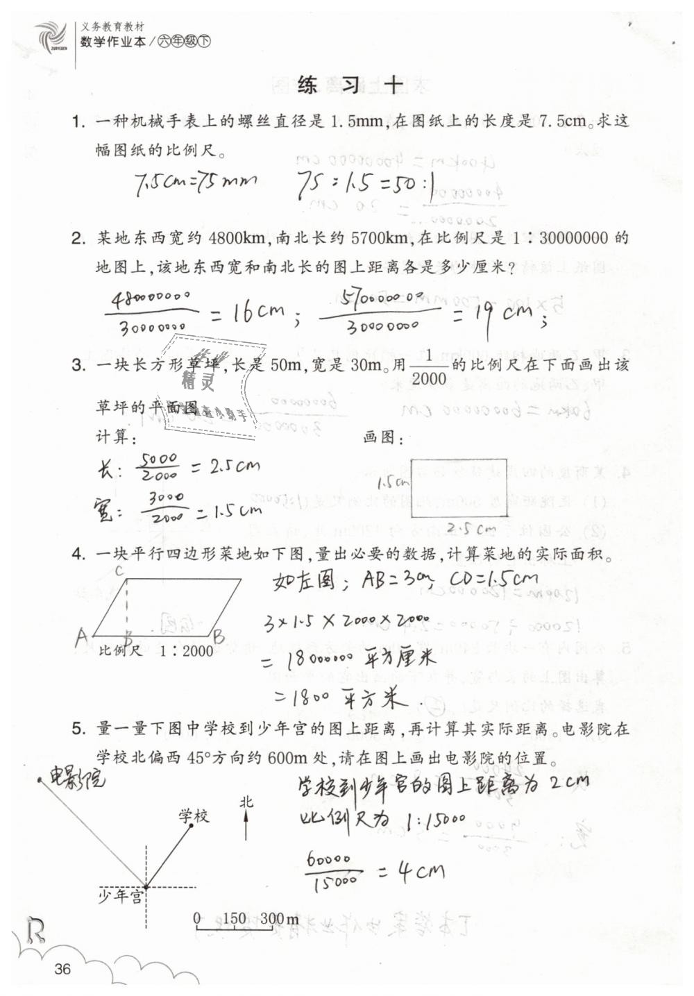 2019年数学作业本六年级下册人教版浙江教育出版社 第36页