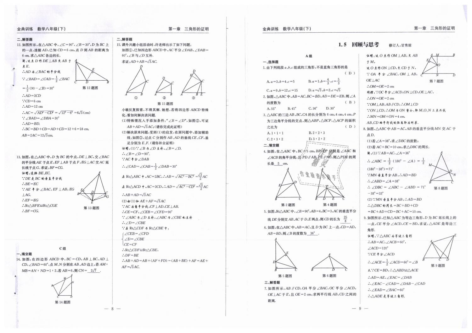 2019年金典训练八年级数学下册北师大版 第5页