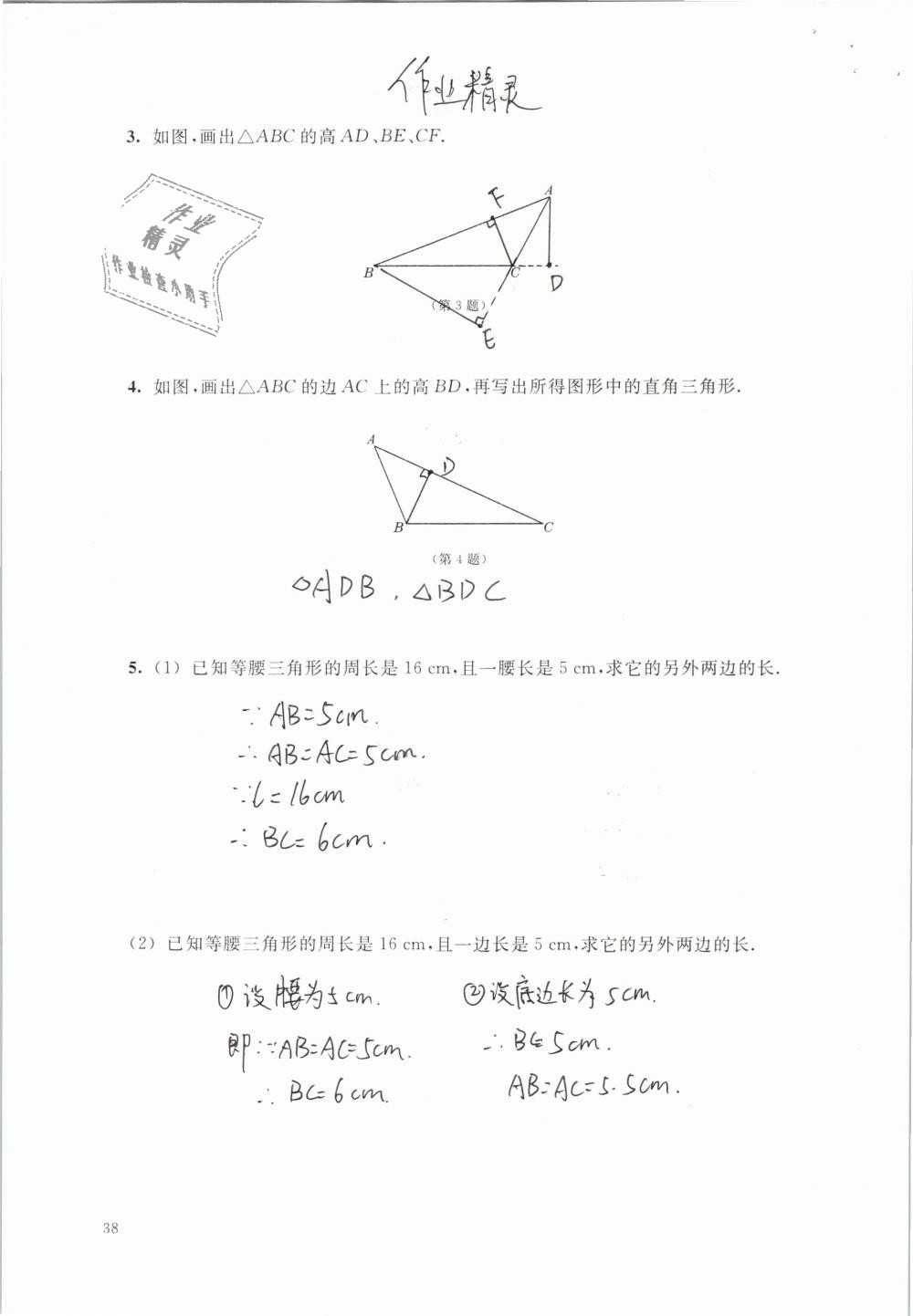 2019年數(shù)學(xué)練習(xí)部分七年級第二學(xué)期 第38頁