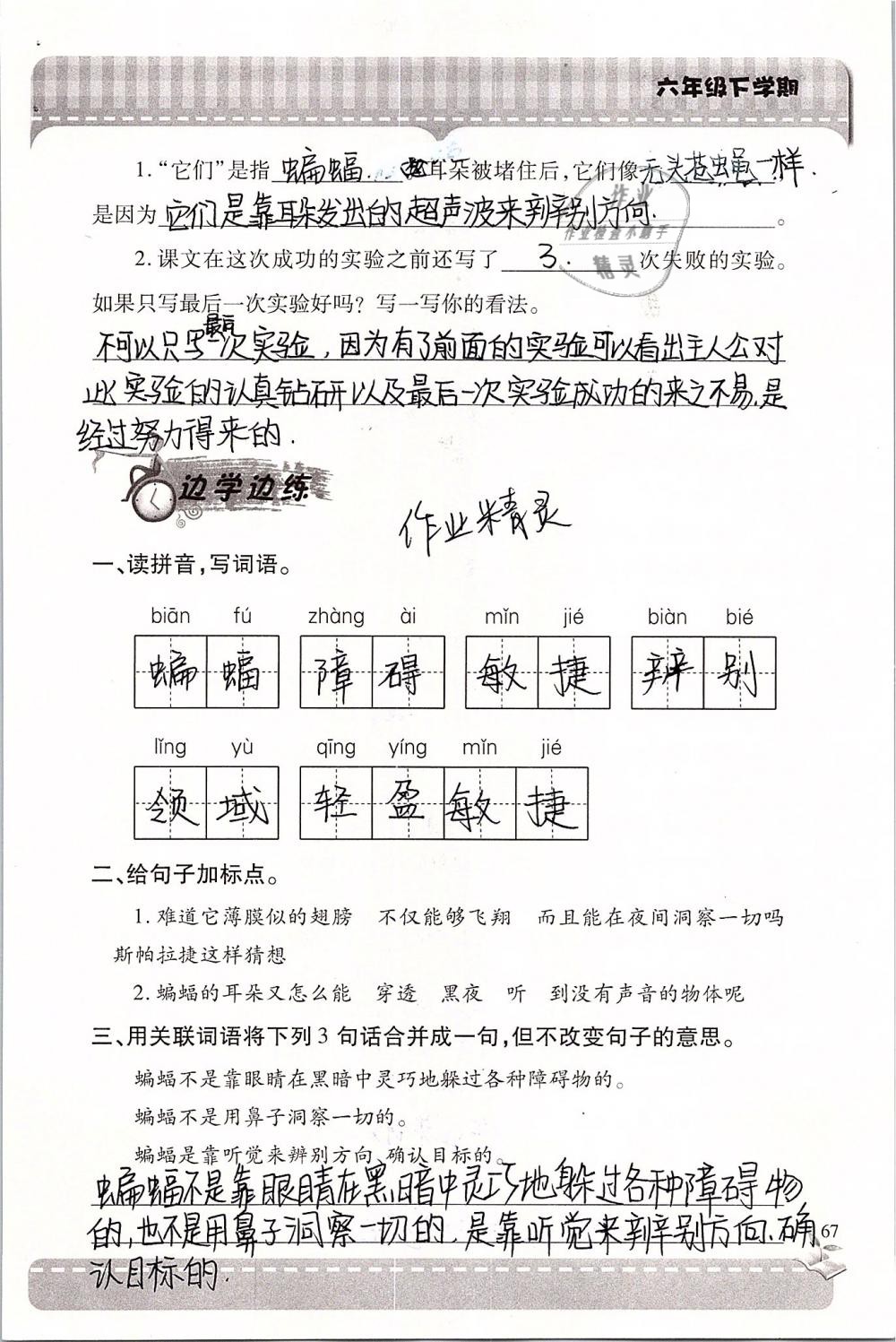 2019年新课堂同步学习与探究六年级语文下学期苏教版 参考答案第67页