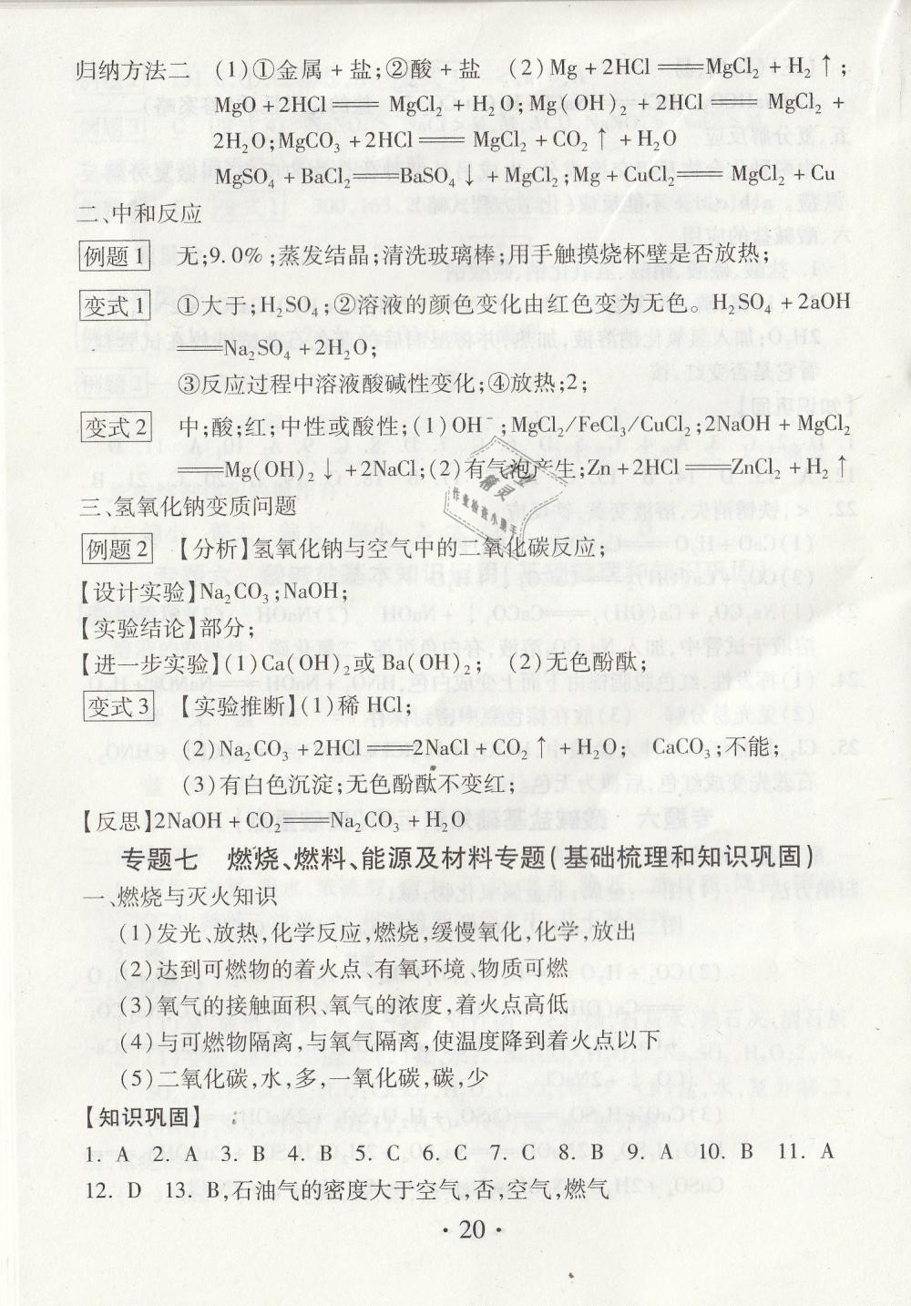 2019年综合素质学化学随堂反馈九年级下册沪教版 第20页