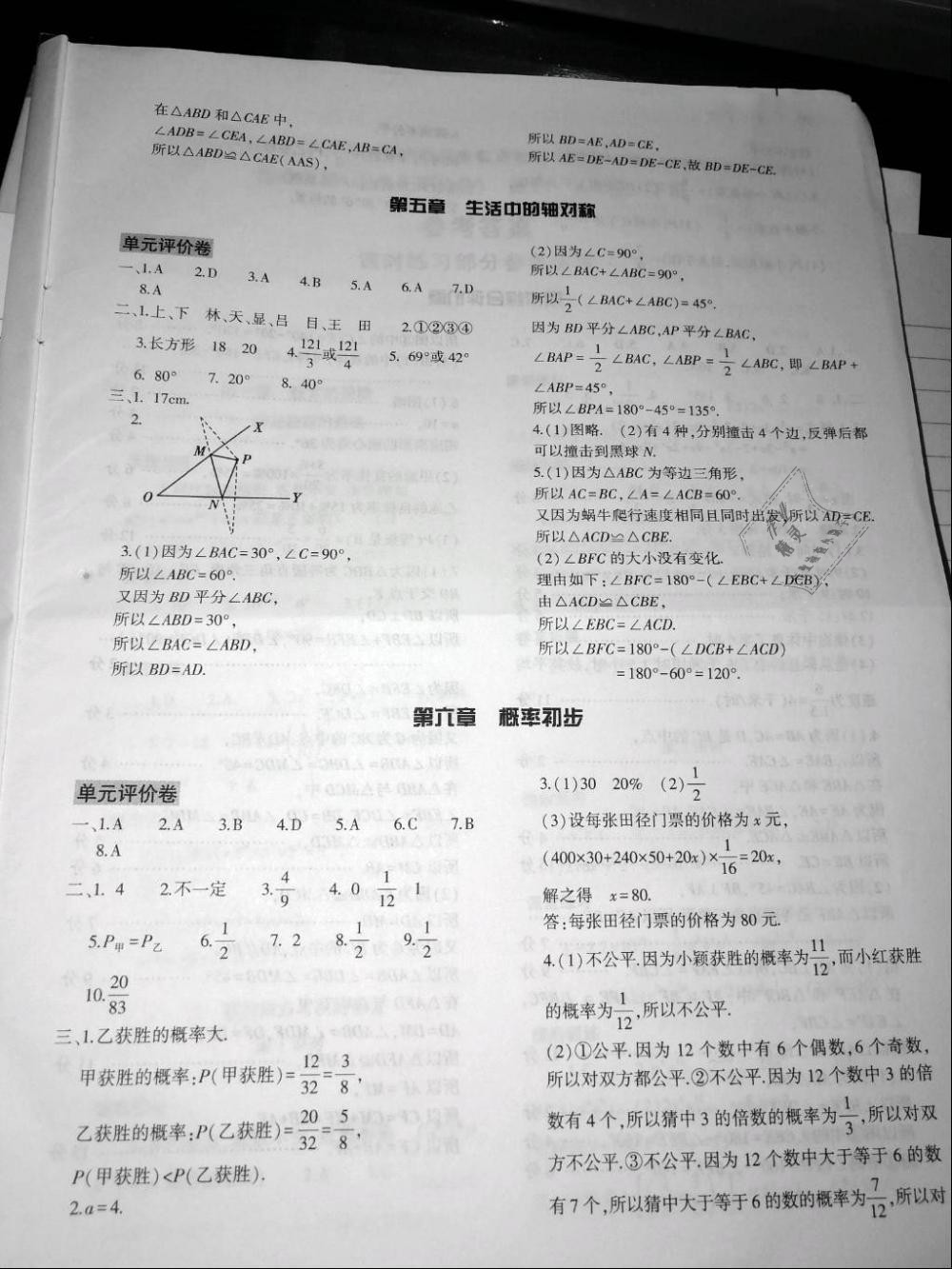 2019年基础训练七年级数学下册北师大版大象出版社 第23页