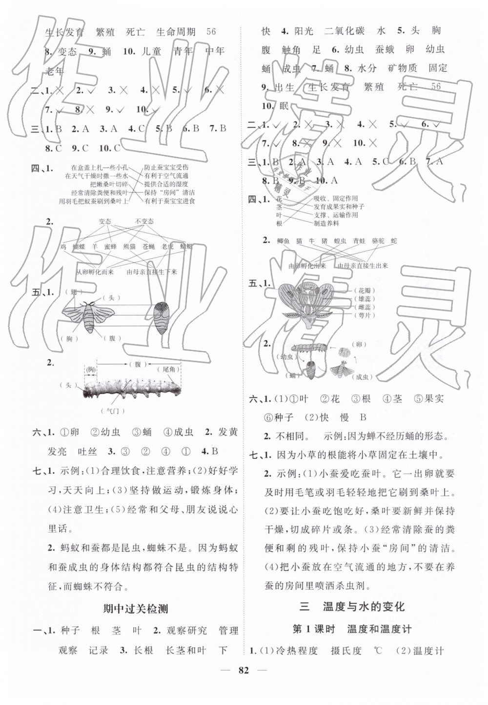 2019年陽(yáng)光同學(xué)課時(shí)優(yōu)化作業(yè)三年級(jí)科學(xué)下冊(cè)教科版 第4頁(yè)