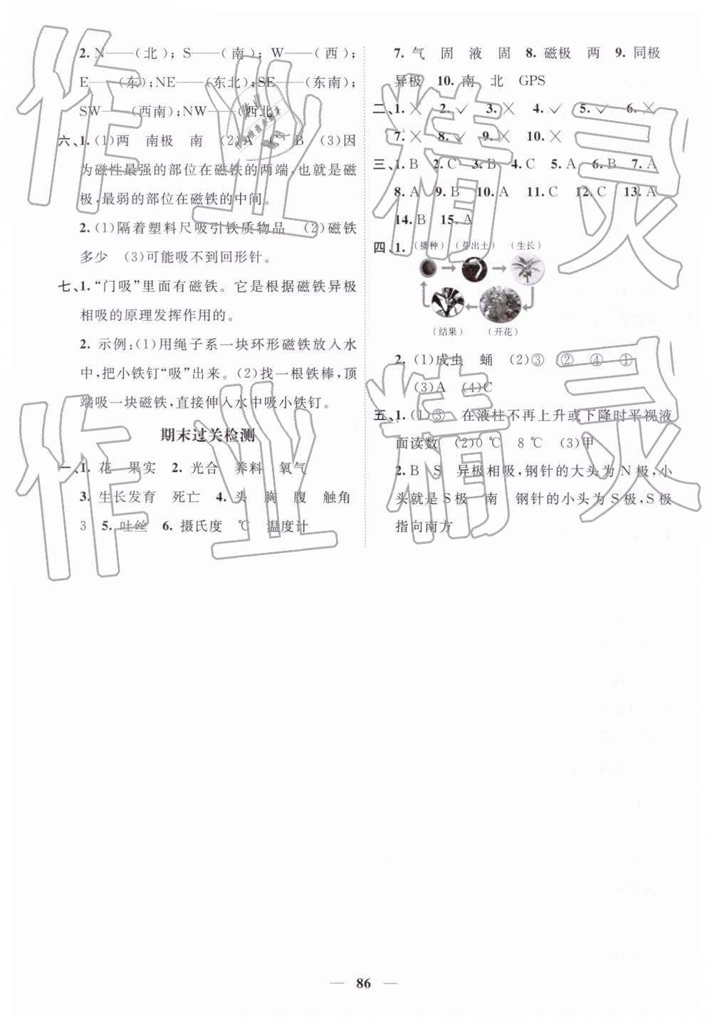 2019年陽光同學(xué)課時優(yōu)化作業(yè)三年級科學(xué)下冊教科版 第8頁