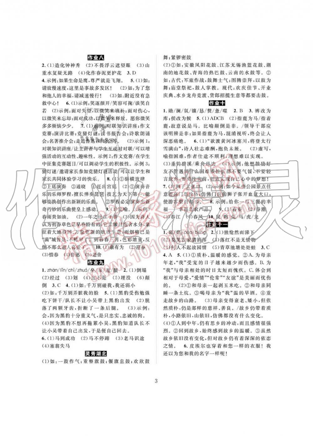 2019年长江暑假作业七年级语文崇文书局 第3页