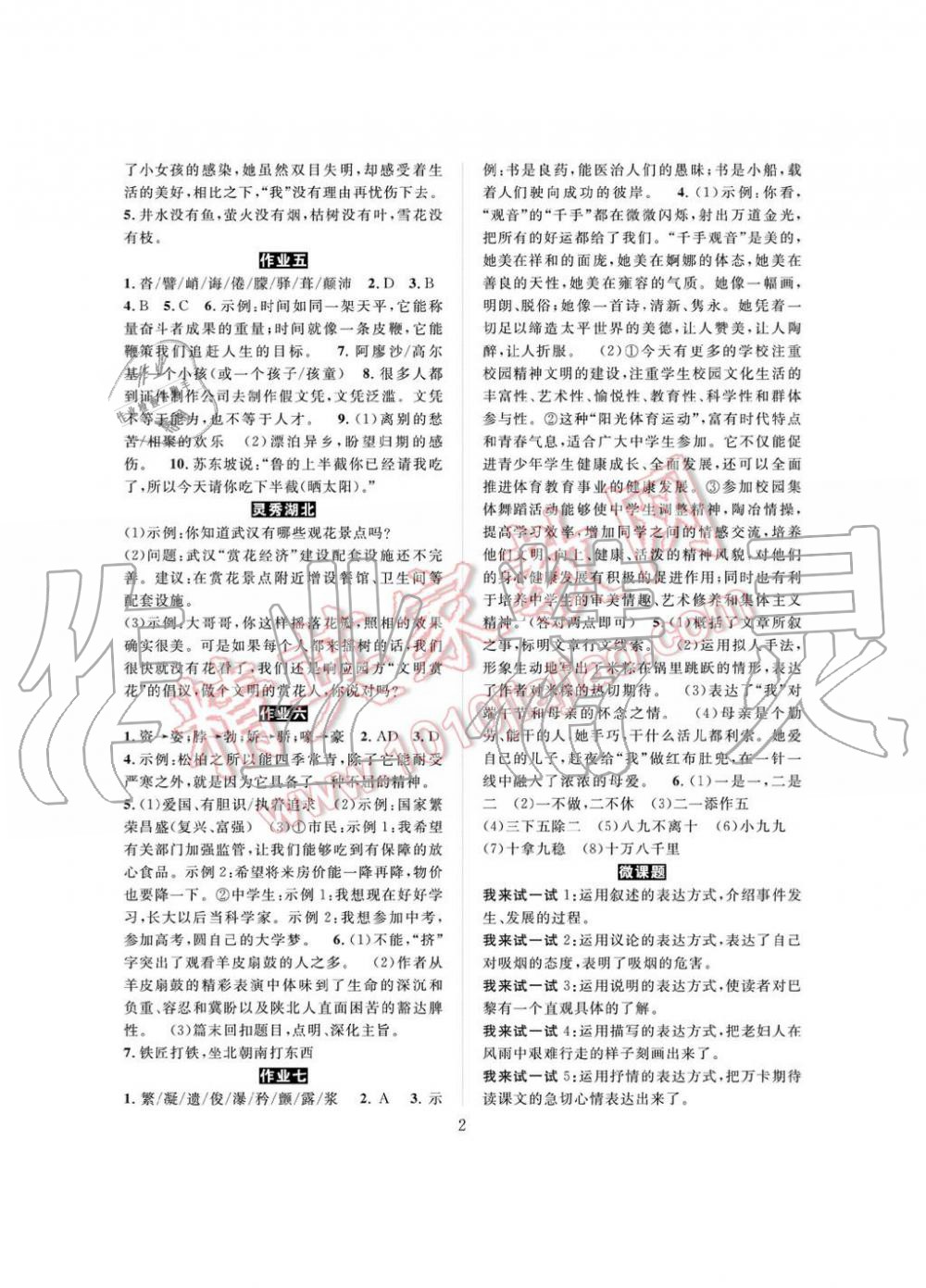 2019年长江暑假作业七年级语文崇文书局 第2页