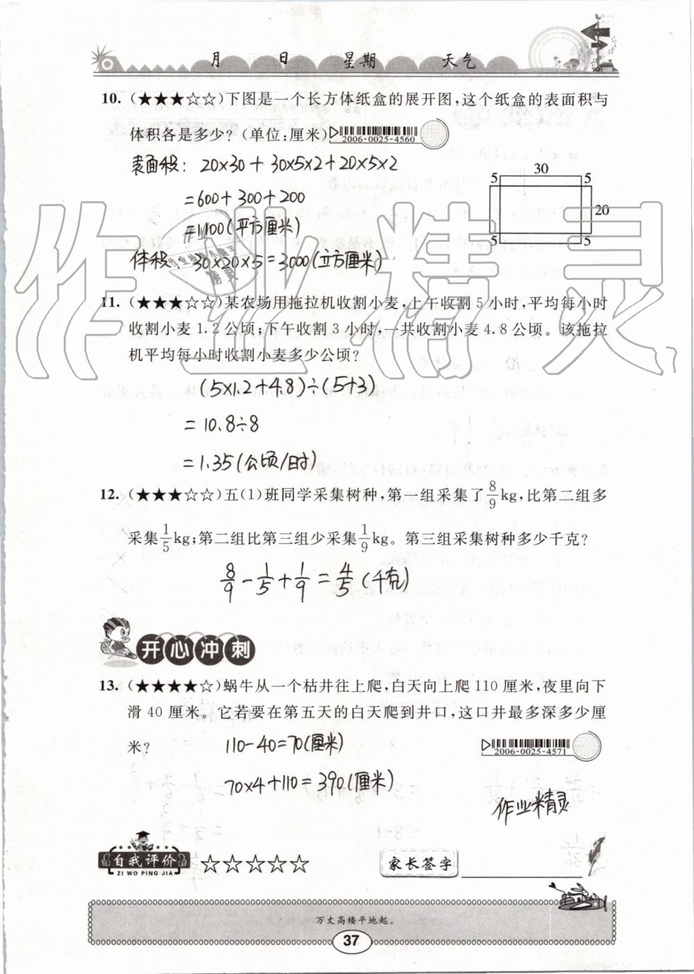 2019年长江暑假作业五年级数学崇文书局 第37页