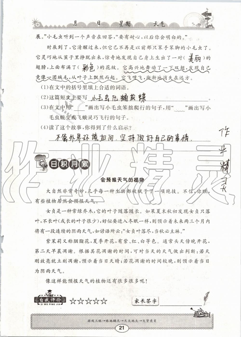 2019年长江暑假作业三年级语文崇文书局 第21页