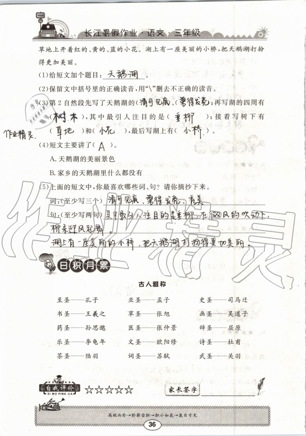 2019年长江暑假作业三年级语文崇文书局 第36页