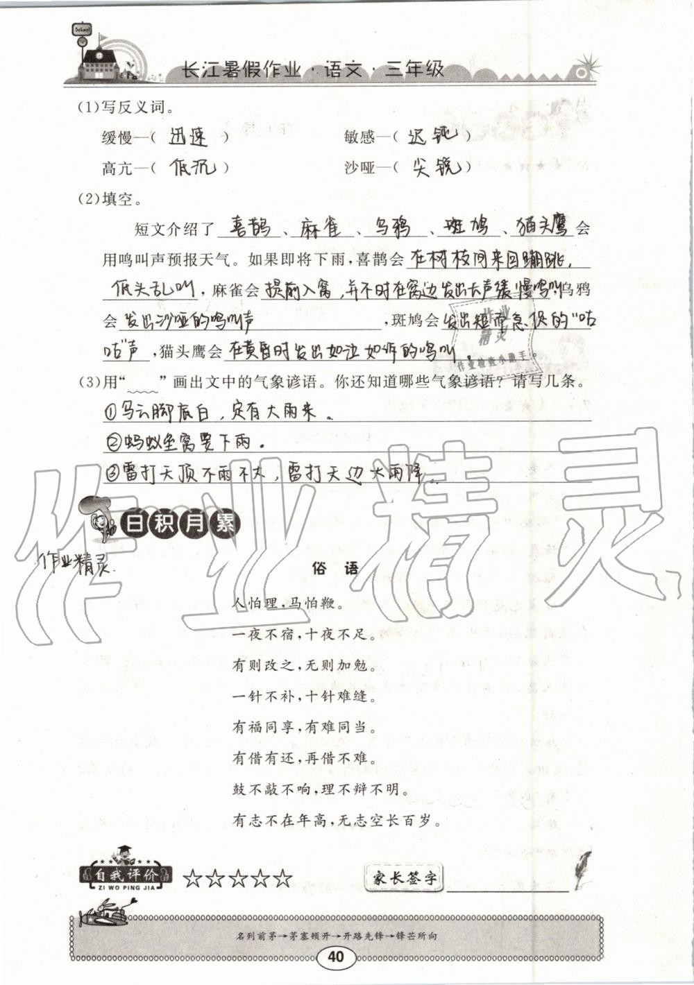 2019年长江暑假作业三年级语文崇文书局 第40页