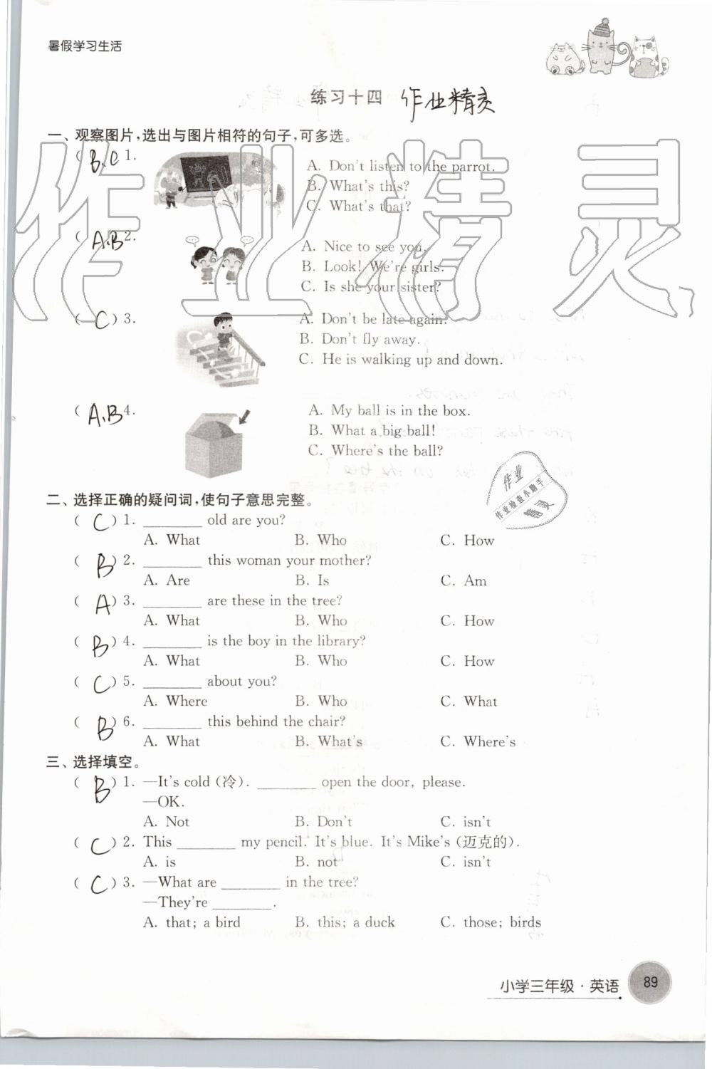 2019年暑假學(xué)習(xí)生活小學(xué)三年級譯林出版社 第89頁