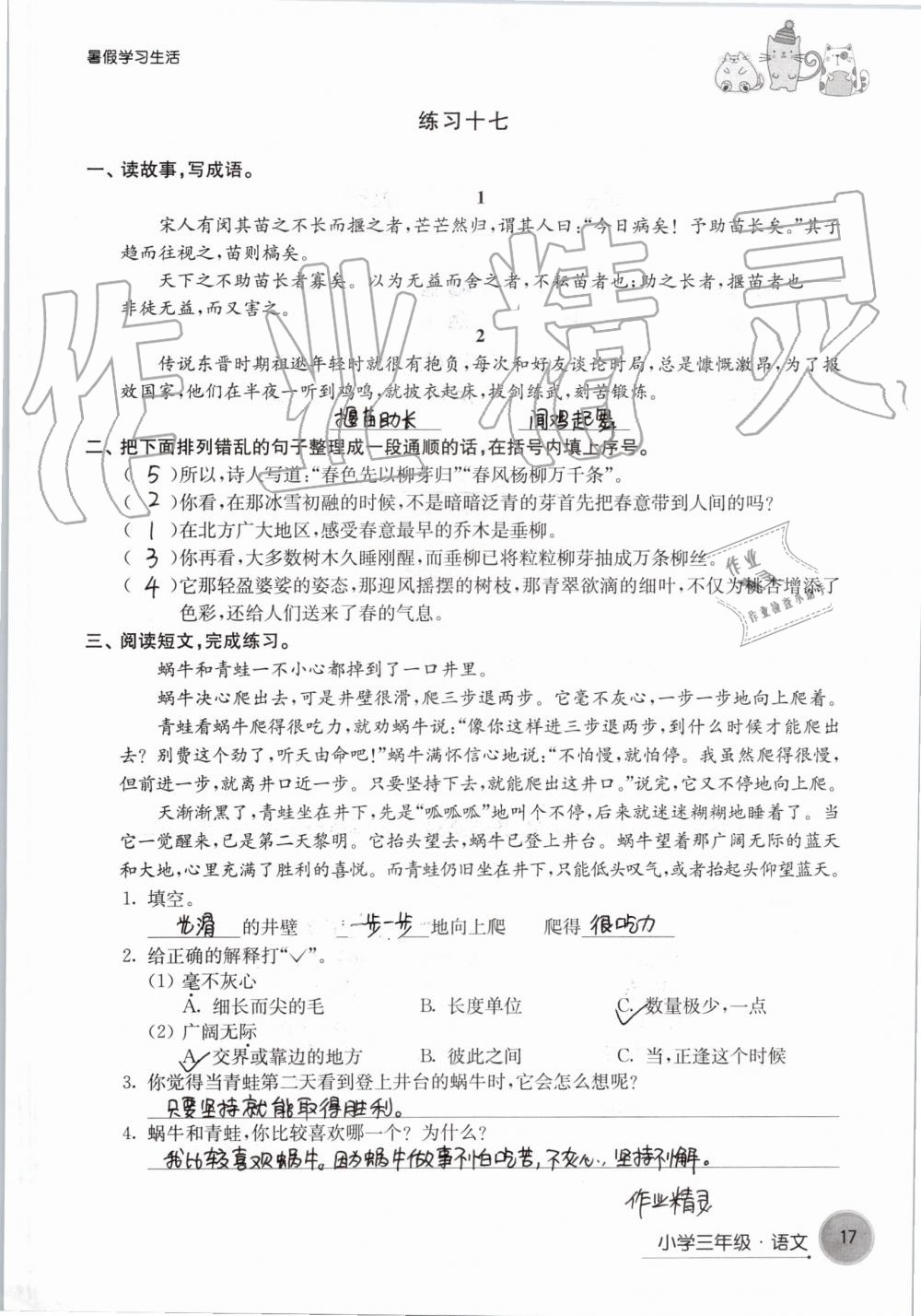 2019年暑假学习生活小学三年级译林出版社 第17页