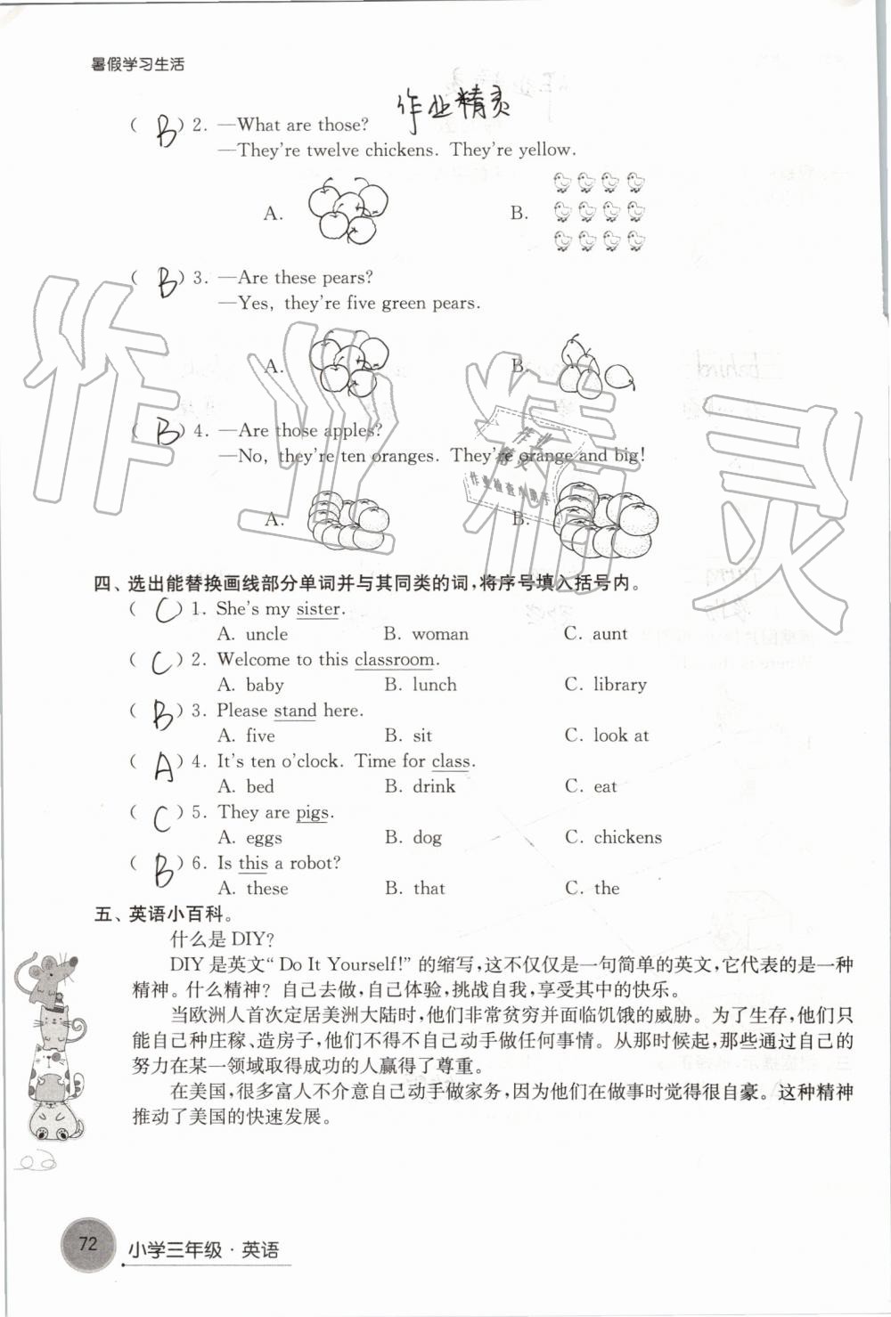 2019年暑假學(xué)習(xí)生活小學(xué)三年級(jí)譯林出版社 第72頁(yè)